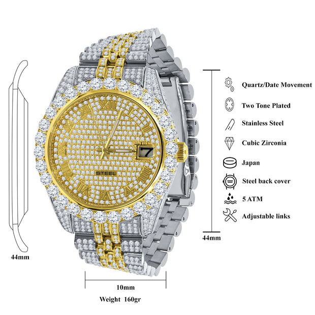 METEORITE STEEL WATCH | 5305442